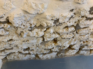 Photo de galerie - L'état des mur avant 