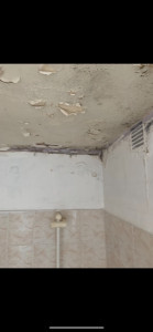 Photo de galerie - Peinture - Tapisserie