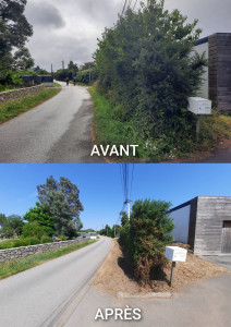 Photo de galerie - Taille d'une haie et débroussaillage 