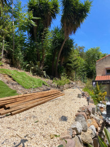 Photo de galerie - Tonte de pelouse - Débroussaillage