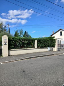 Photo de galerie - Taille de haies et d'arbustes