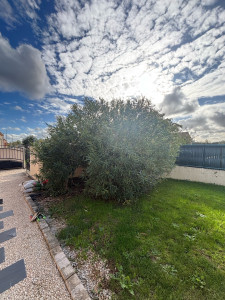 Photo de galerie - Coupe d’un laurier rose 