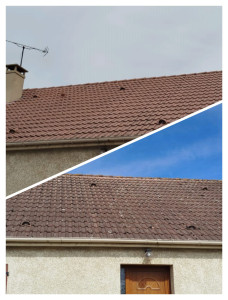 Photo de galerie - Toiture avant et après démoussage.