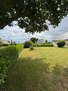 Photo de galerie - Taille de haies et d'arbustes