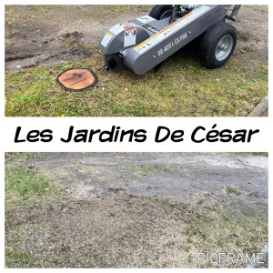 Photo de galerie - Elagage et coupe d'arbres