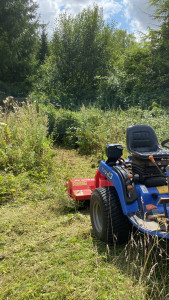 Photo de galerie - Fauchage annuel d’une jachère