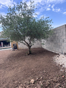 Photo de galerie - Labourage, pelouse semer, mise à niveau 