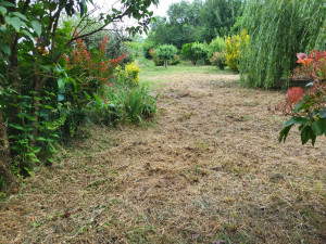 Photo de galerie - Jardinier