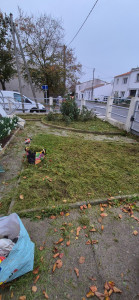 Photo de galerie - Nettoyage du jardin 
