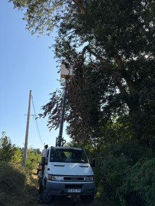 Photo de galerie - Coupe d’une branche cassé par le vent encore suspendu 