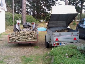 Photo de galerie - Elagage et coupe d'arbres