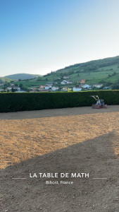 Photo de galerie - Semis de gazon 