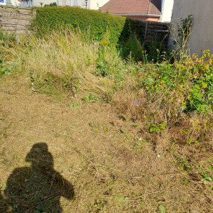 Photo de galerie - Débroussaillage avant 