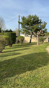 Photo de galerie - Coupe bordure et pelouse