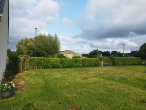 Photo de galerie - Taille de haie