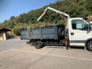 Photo de galerie - Transport de véhicules - Remorquage