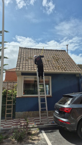 Photo de galerie - Bonjour, je propose mes services des Moussages de toiture