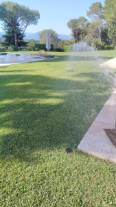 Photo de galerie - Entretien jardin 