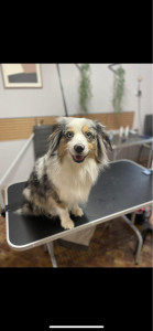 Photo de galerie - Vanille ❤️