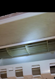 Photo de galerie - Après nettoyage et désinfection 