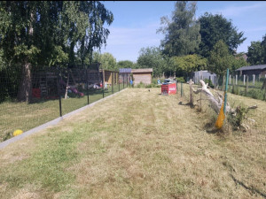 Photo de galerie - Après tonte 
