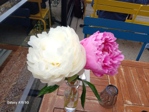 Photo de galerie - ..