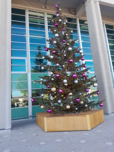 Photo de galerie - Restaurant 