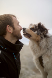 Photo de galerie - Disponible pour vous aider dans l'éducation de votre chien, ou simplement réaliser des balades en votre absence