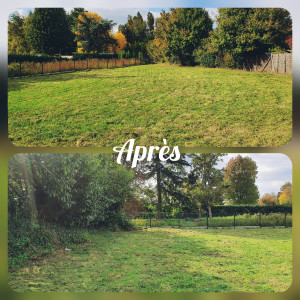 Photo de galerie - Dédroussaillage simple.