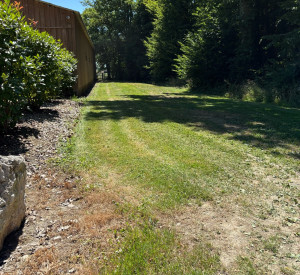 Photo de galerie - Tonte pelouse 