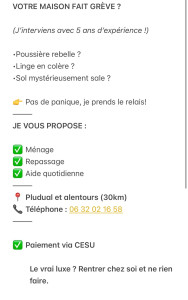 Photo de galerie - BESOIN D'AIDE À DOMICILE ? Ménage - Repassage - Aide au quotidien 5 ans d'expérience Intervention sérieuse et soignée Pludual et alentours (30 km) Paiement via CESU accepté