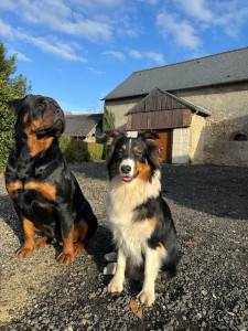 Photo de galerie - ?