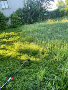 Photo de galerie - Débroussaillage cours 