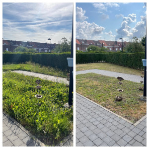 Photo de galerie - Tonte de pelouse - Débroussaillage