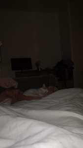 Photo de galerie - Ce petit bout de chou est resté chez moi 10 jours. 