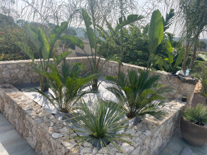 Photo de galerie - Pendant 