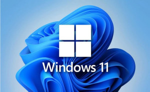 Photo de galerie - Windows 11