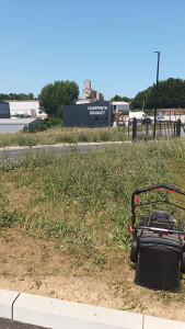 Photo de galerie - Débroussaillage et tonte extrême sur plus de 1200m² 