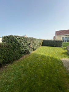 Photo de galerie - Tonte pelouse et rafraîchissement haie