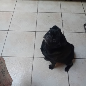 Photo de galerie - Marcel qu on a gardé que du bonheur