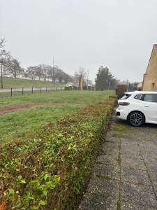 Photo de galerie - Taille de haie 