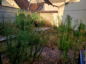 Photo de galerie - Avant ...