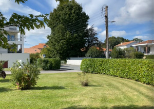Photo de galerie - Tonte de pelouse - Débroussaillage