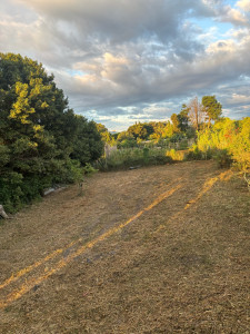 Photo de galerie - Débroussaillage grande surface après 