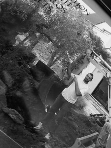 Photo de galerie - Paysagiste - Aménagement du jardin