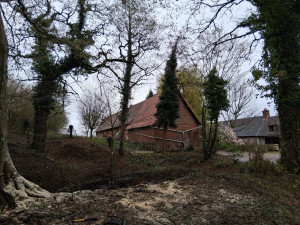 Photo de galerie - Petit elaguage