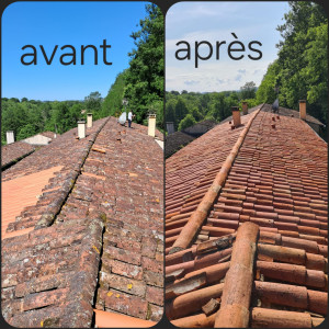 Photo de galerie - Nettoyage traitement remplacement de tuiles