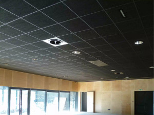 Photo de galerie - Plafond, dalle 