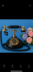 Photo de galerie - Telephone livre d’or audio