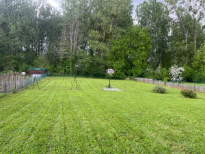 Photo de galerie - Tonte de pelouse et débroussaillage 